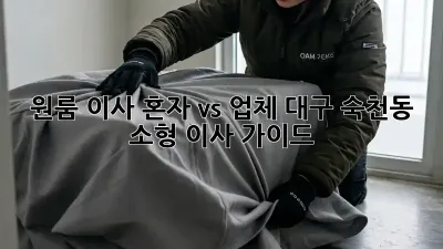 원룸 이사, 혼자 vs 업체? 대구 숙천동 소형 이사 가이드
